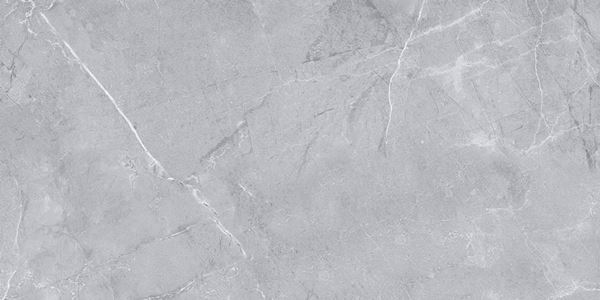 Amphora Light Grey 60x120 Gravita