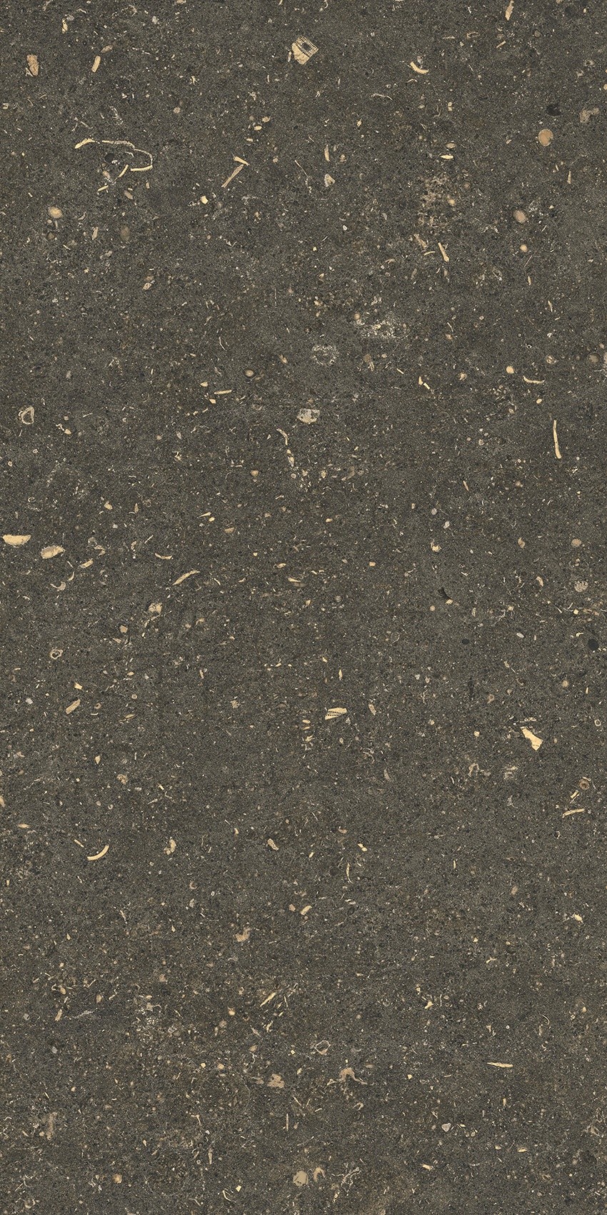 785491 Rinascenza Arena Platino Matte 30x60 Casa Dolce Casa фото 8