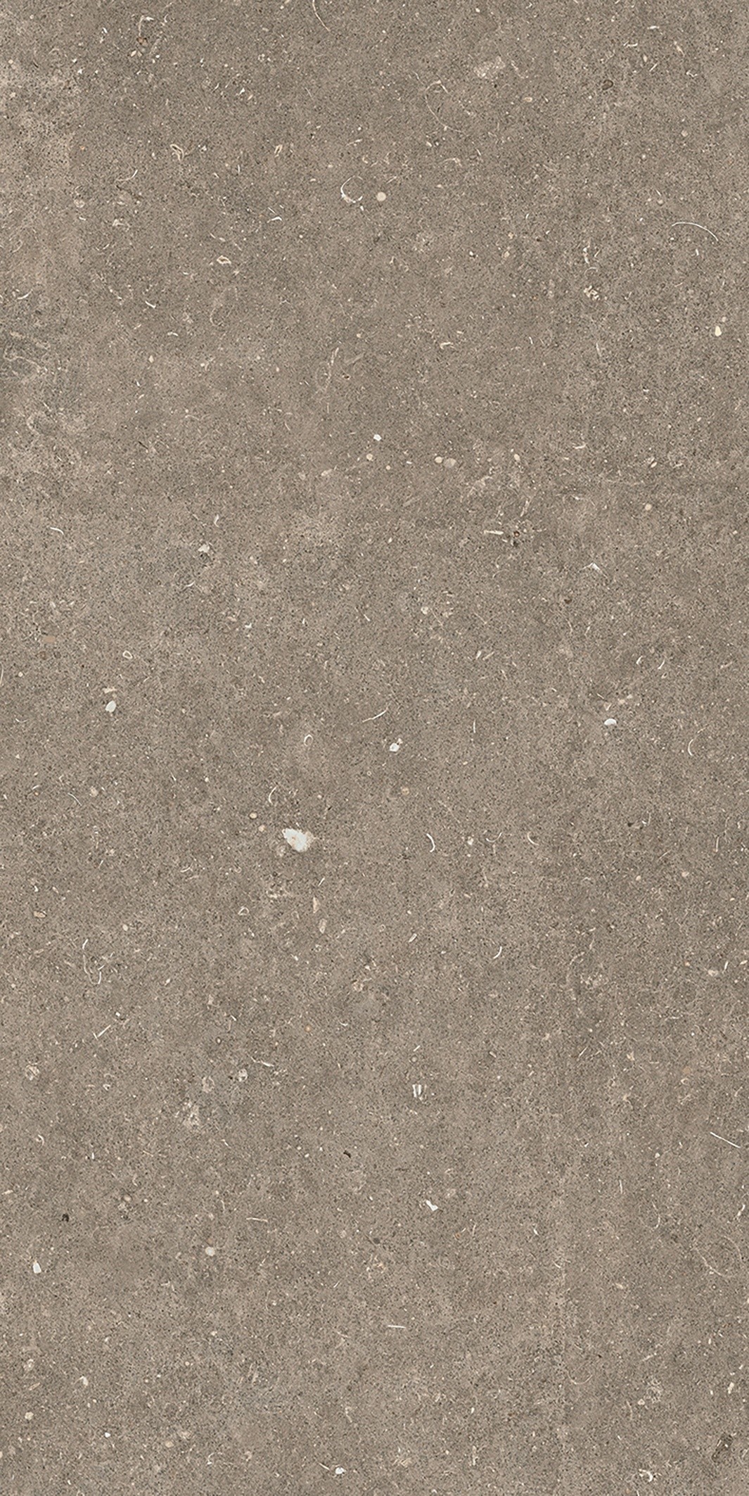 785576 Rinascenza Arena Pietra Matte 6mm 60x120 Casa Dolce Casa фото 4