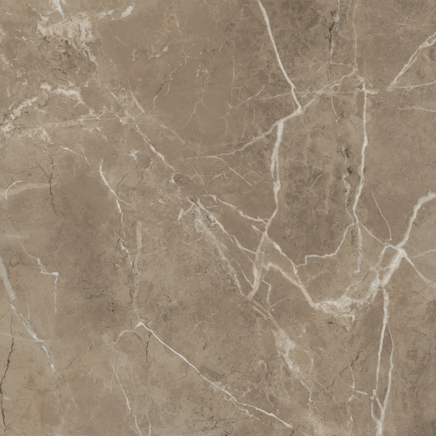 SG654122R Серенада бежевый тёмный лаппатированный обрезной 60x60 Kerama Marazzi фото 5