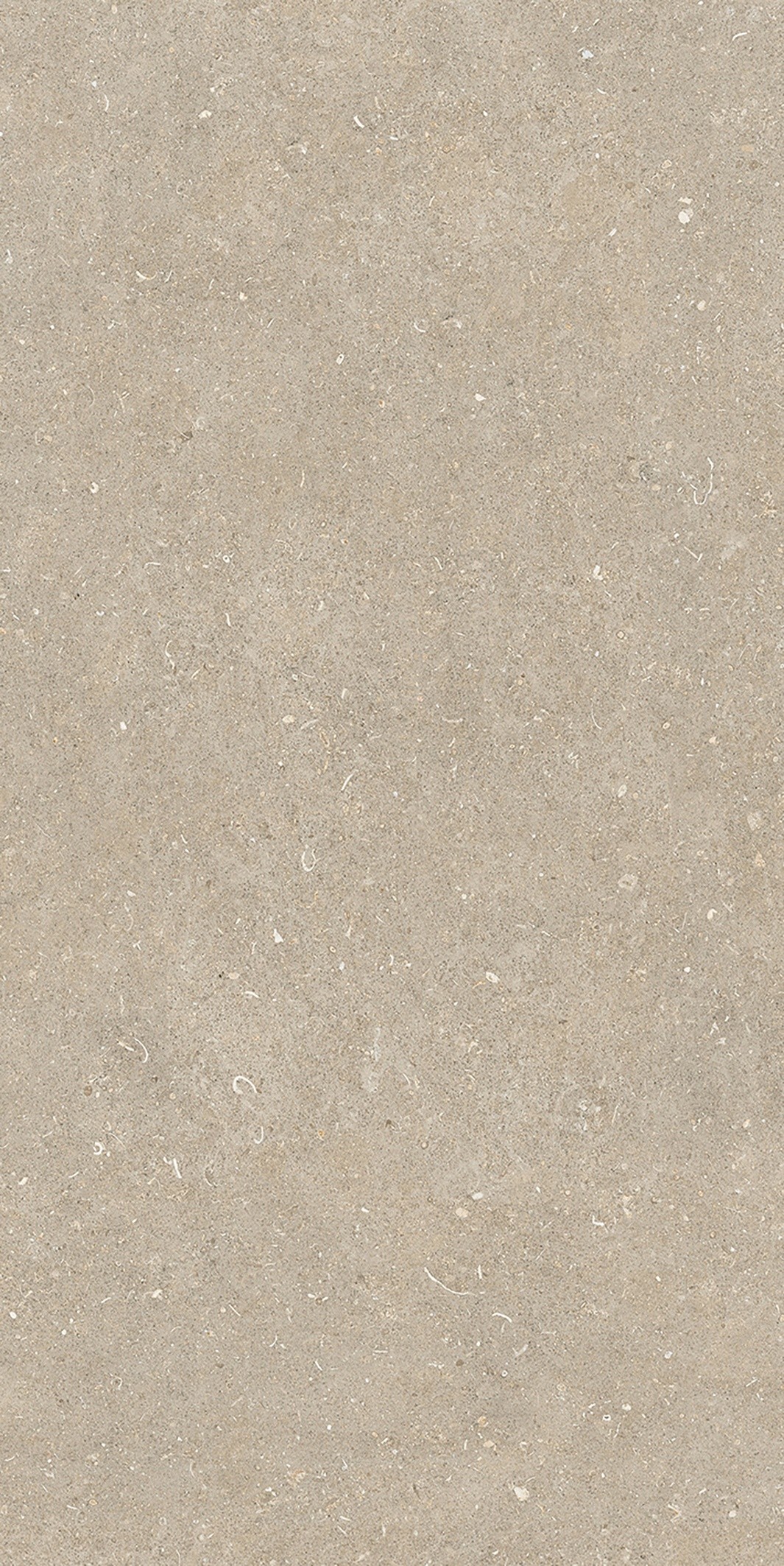 785575 Rinascenza Arena Conchiglia Matte 6mm 60x120 Casa Dolce Casa фото 6