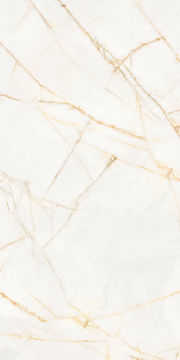 PF60017518 Supreme Hedonism Golden Spider Nat R 60x120 Flaviker