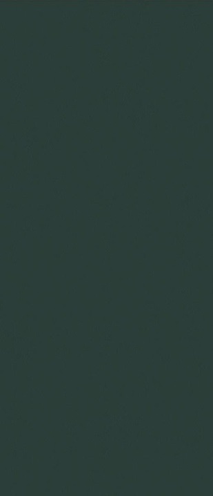 JS6026M Posidonia Green Text 120x280 Janye Slab