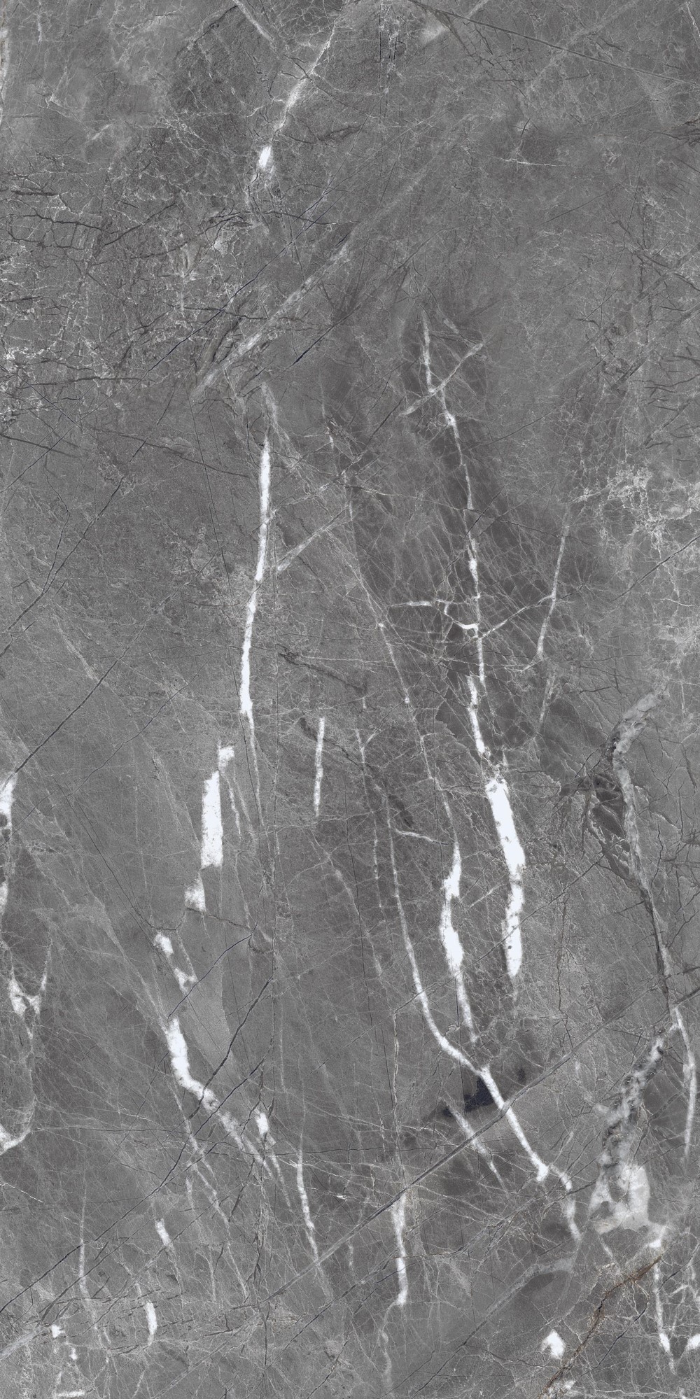 Shadow Dark Grey Polished 60x120 Realistik