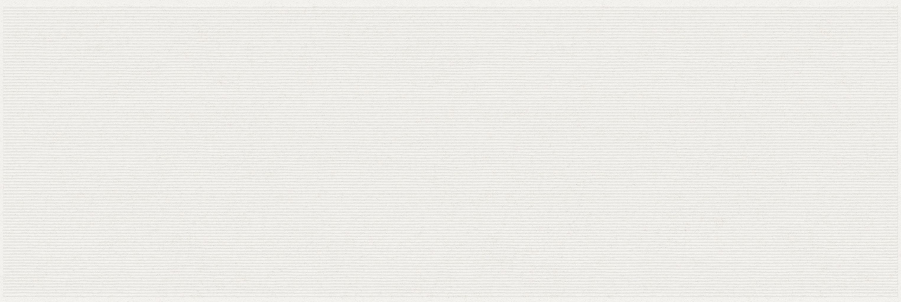 297 Остин матовая 32.5x100 Eurotile Ceramica