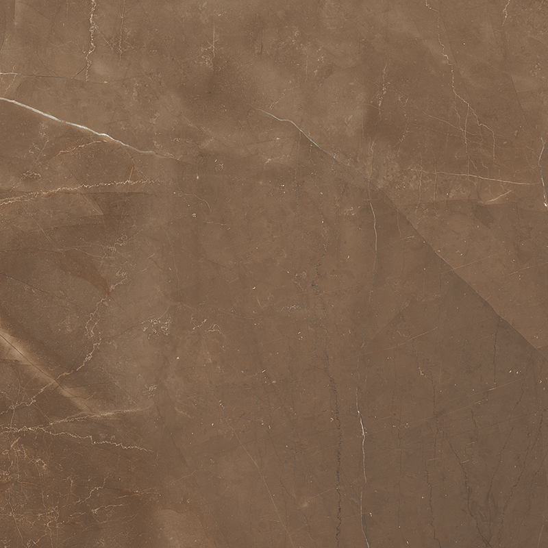 Armani Brown Satin 60x60 Colortile