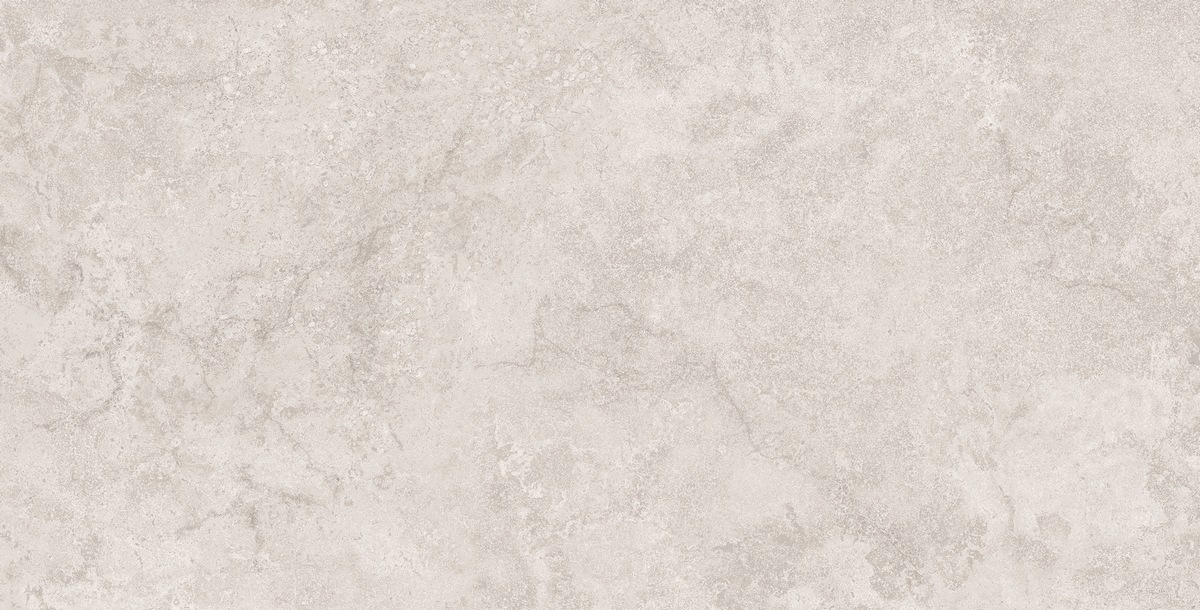 N40070 Stone Duomo Grey Matt Str 60x120 Neodom фото 2