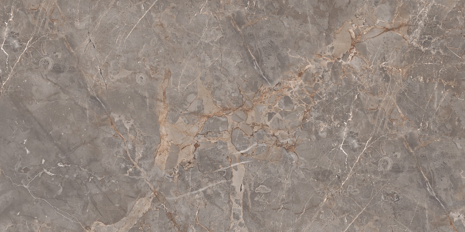 Miltonia Grey 60x120 Realistik