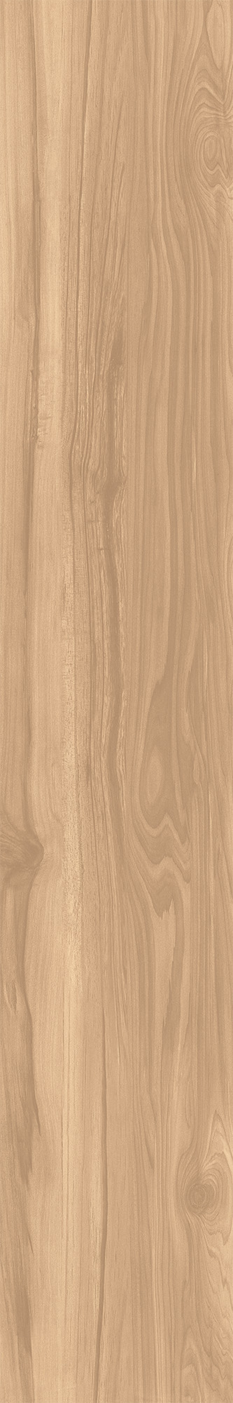 CW-RT09-B Fossil Wood Brich Rustic 20x120 Creanza