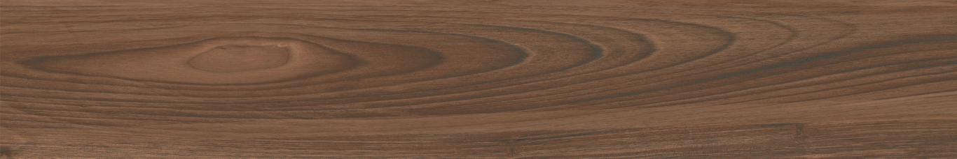 Boutonne Cognac Pulido R 20x120 Baldocer