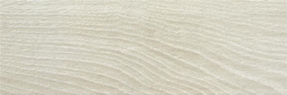 G.Articwood MT Ice Gray 20.5x61.5 STN Ceramica