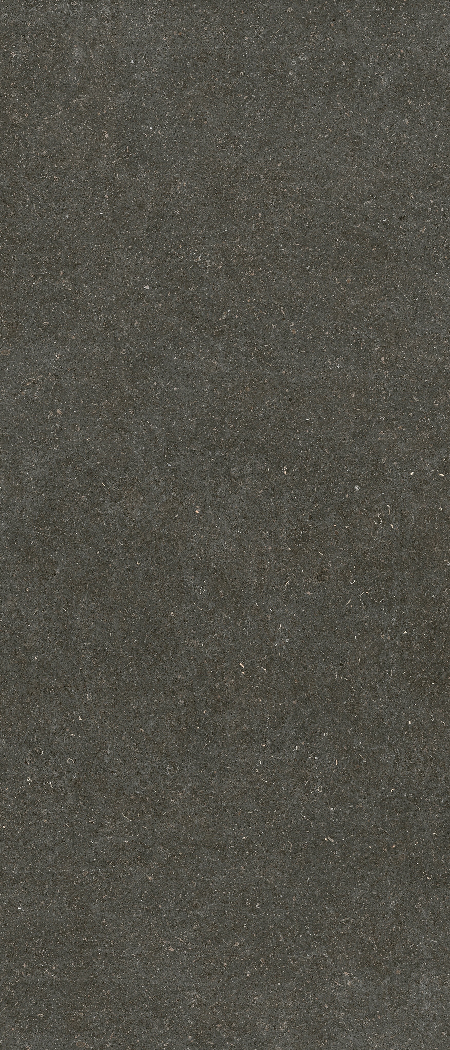 785573 Rinascenza Arena Platino Matte 6mm 120x280 Casa Dolce Casa фото 3