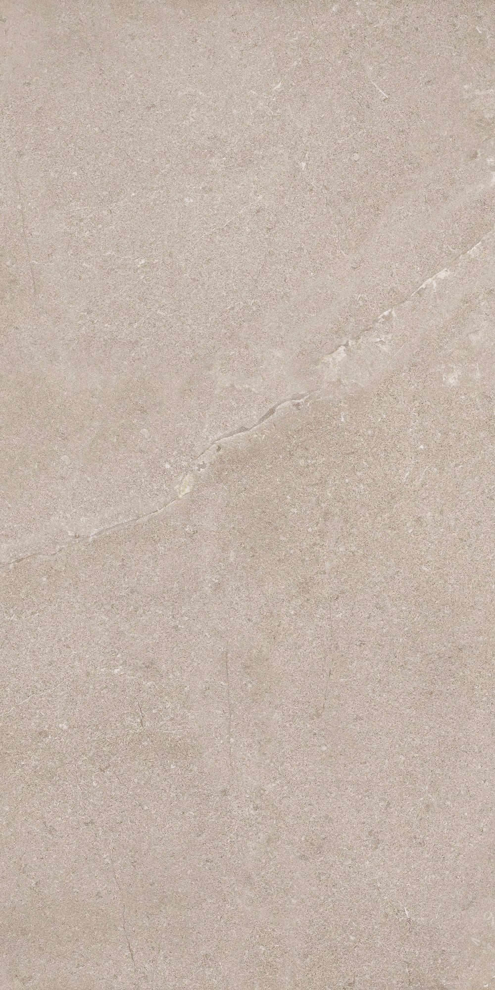 DNWS203 New Stone Lepre 60x120 Dado Ceramica