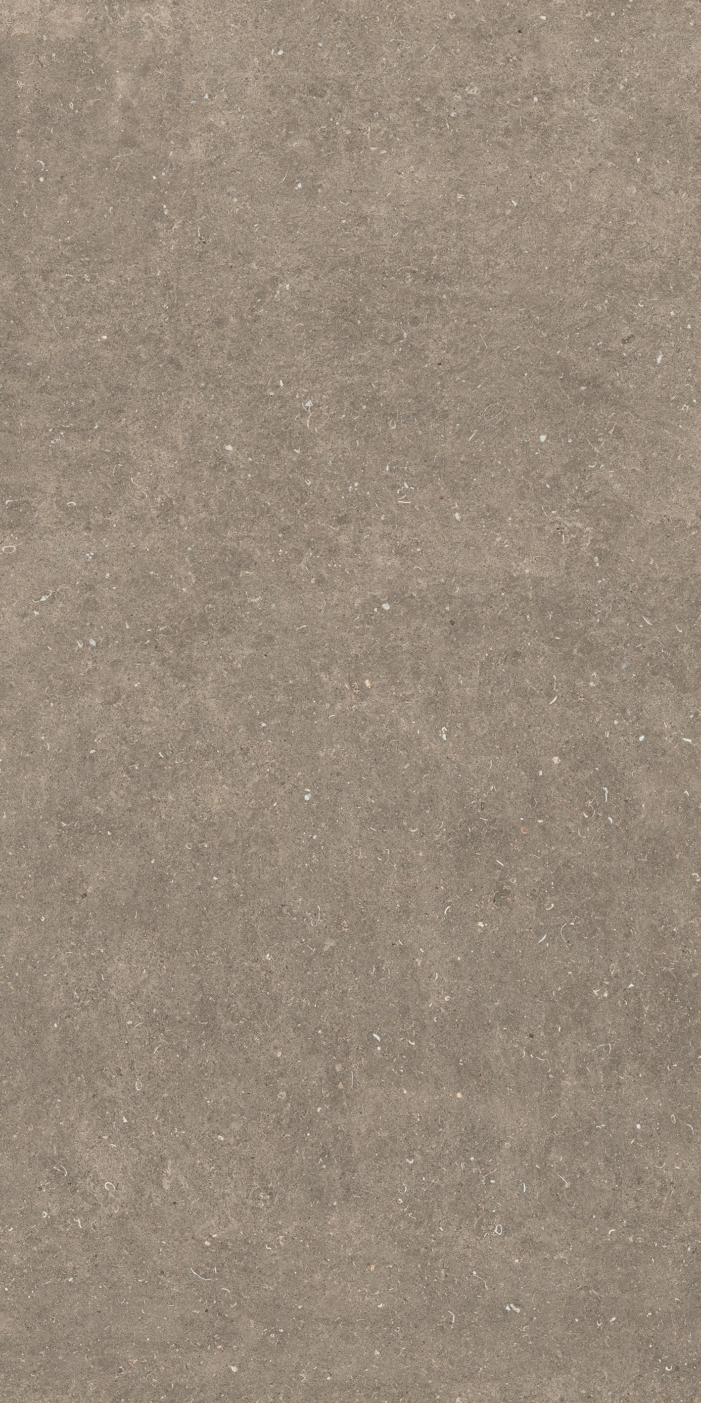 785584 Rinascenza Arena Pietra Matte 6mm 120x240 Casa Dolce Casa фото 3