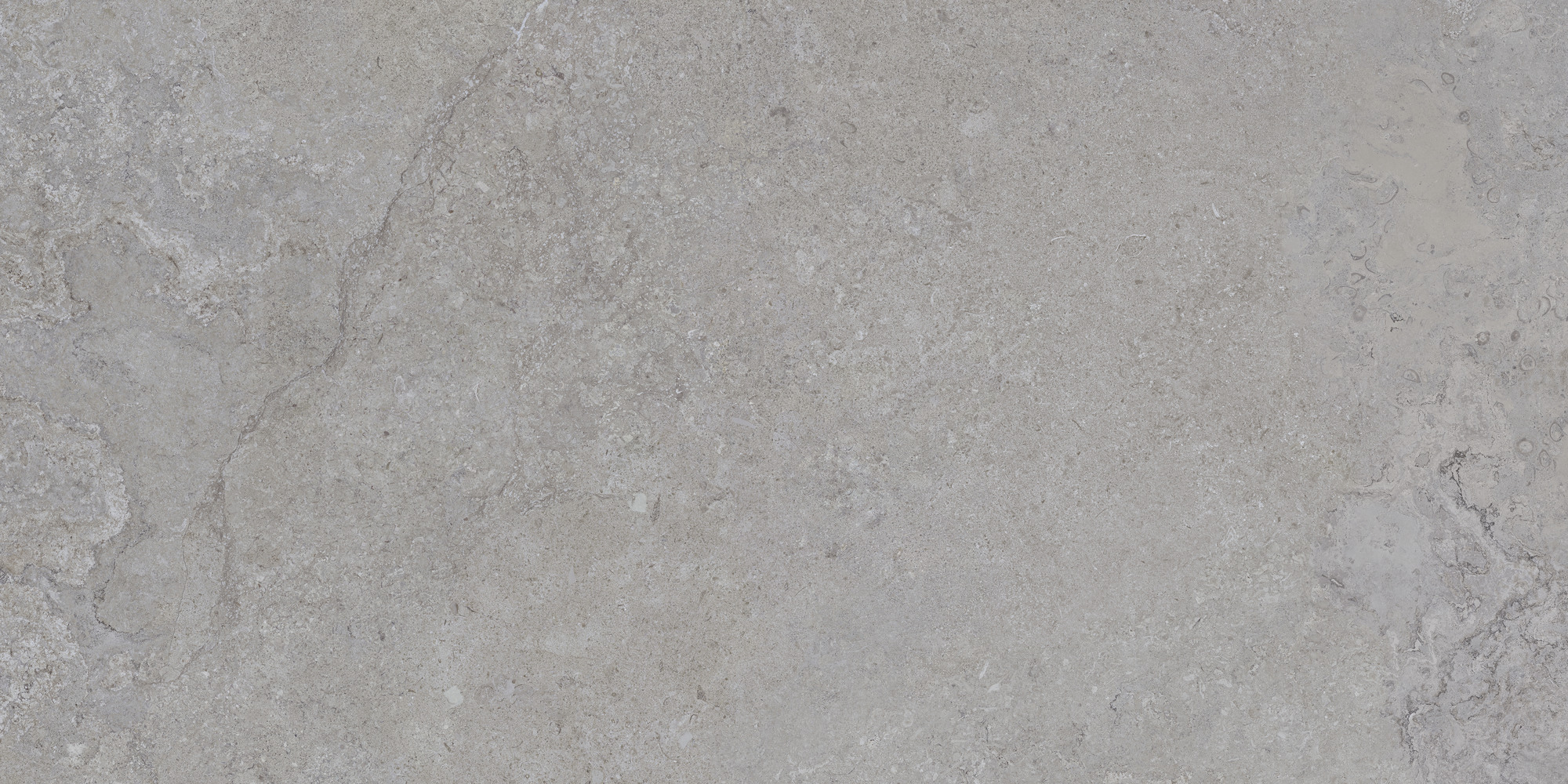 Dorset Silver Rec. 60x120 TAU Ceramica фото 8