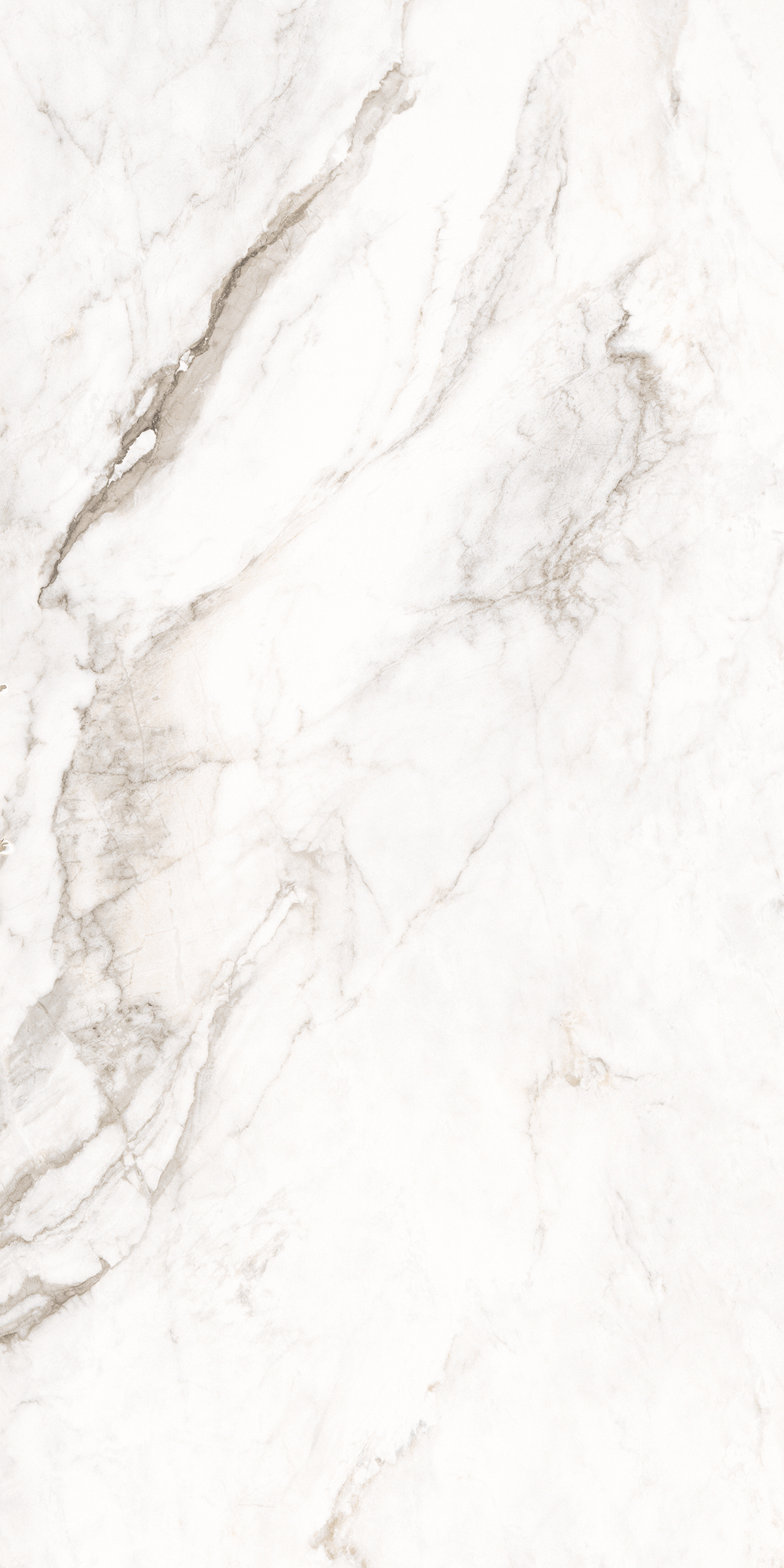 884 Amalfi White 120x60 Artcer