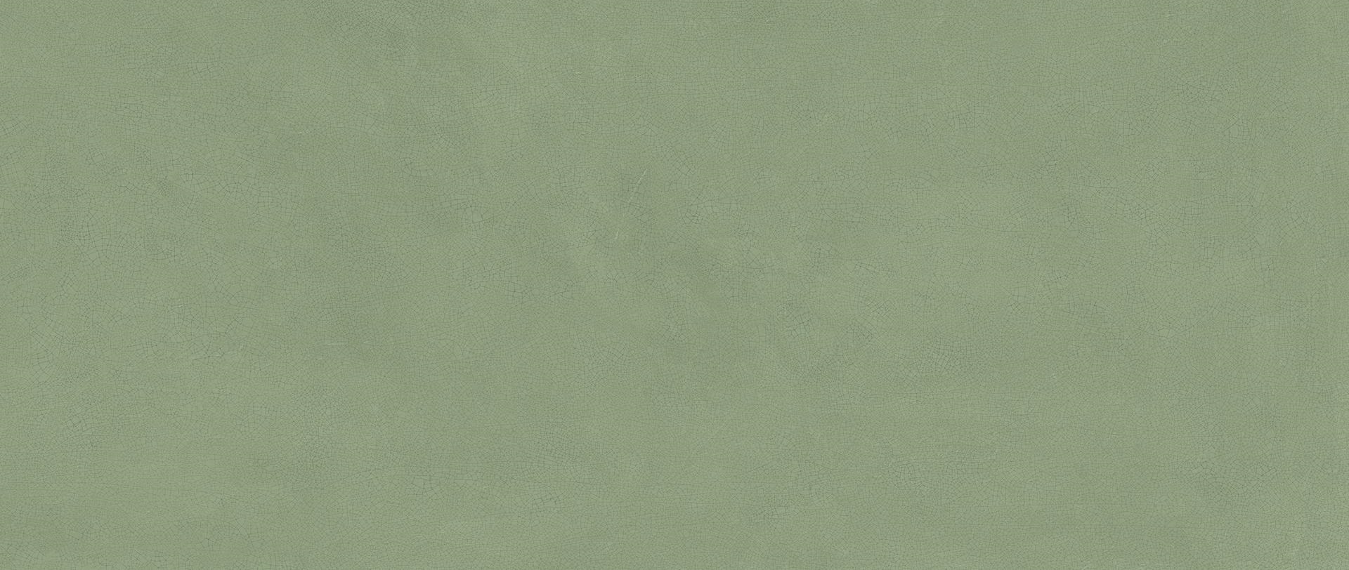 HHIY Vivia Crelis Light Green Lucido 50x120 Atlas Concorde