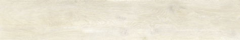 SWK1210 STEAM WORK IVORY 20x120 Ascot