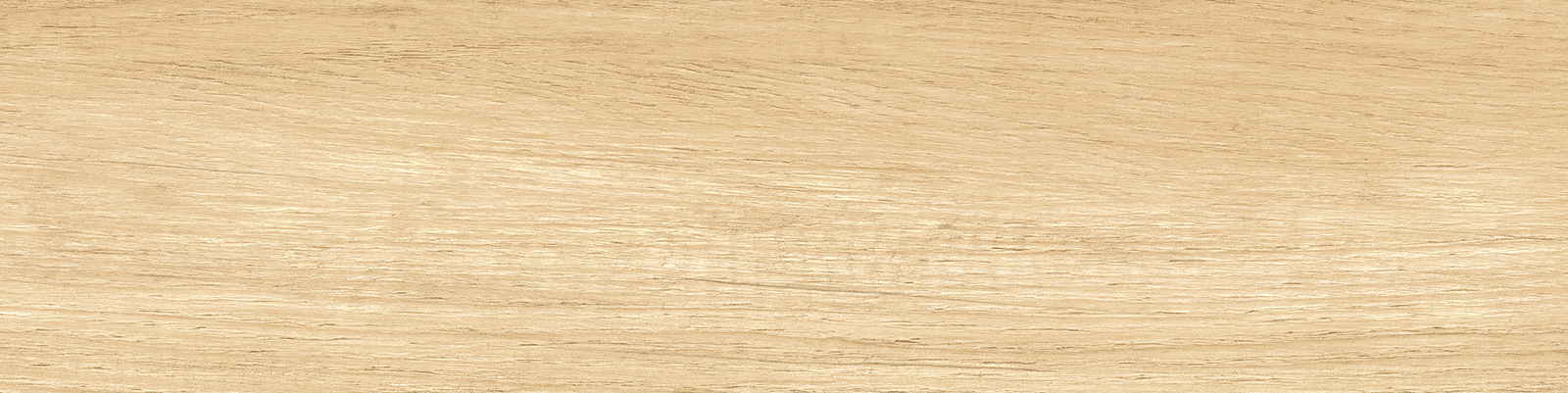 GP1560SAB11 Sunbau Oak Sugar 151x602 New Trend