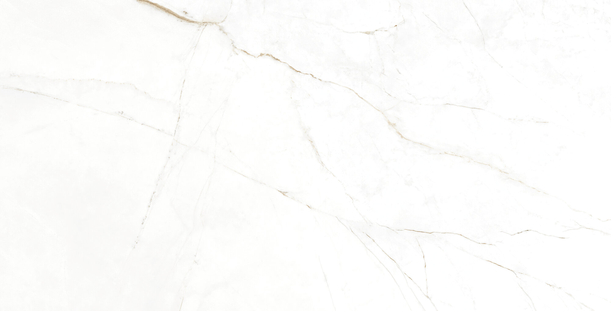 31742 Dual White/75,5X151/EP 75,5x151 Peronda фото 12