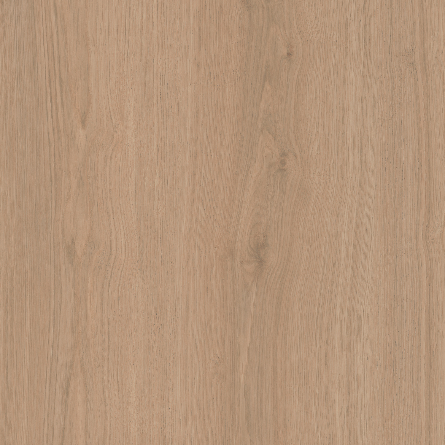 SG643620R Альберони бежевый матовый обрезной 60x60x0,9 Kerama Marazzi