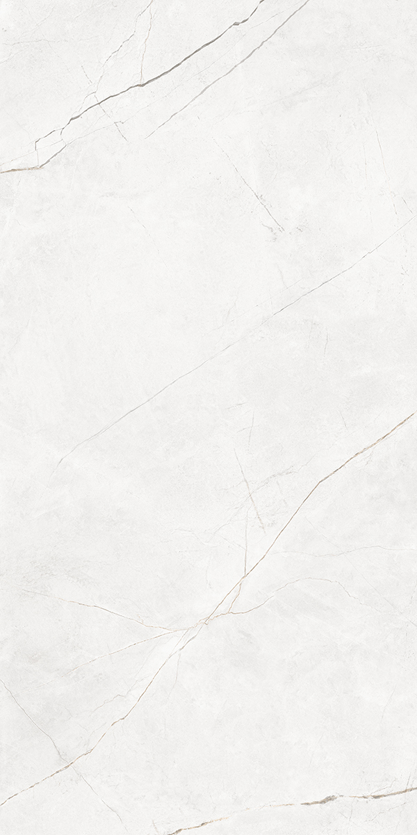 NL00 Nolana White Полированный 60x120x9 Estima фото 10