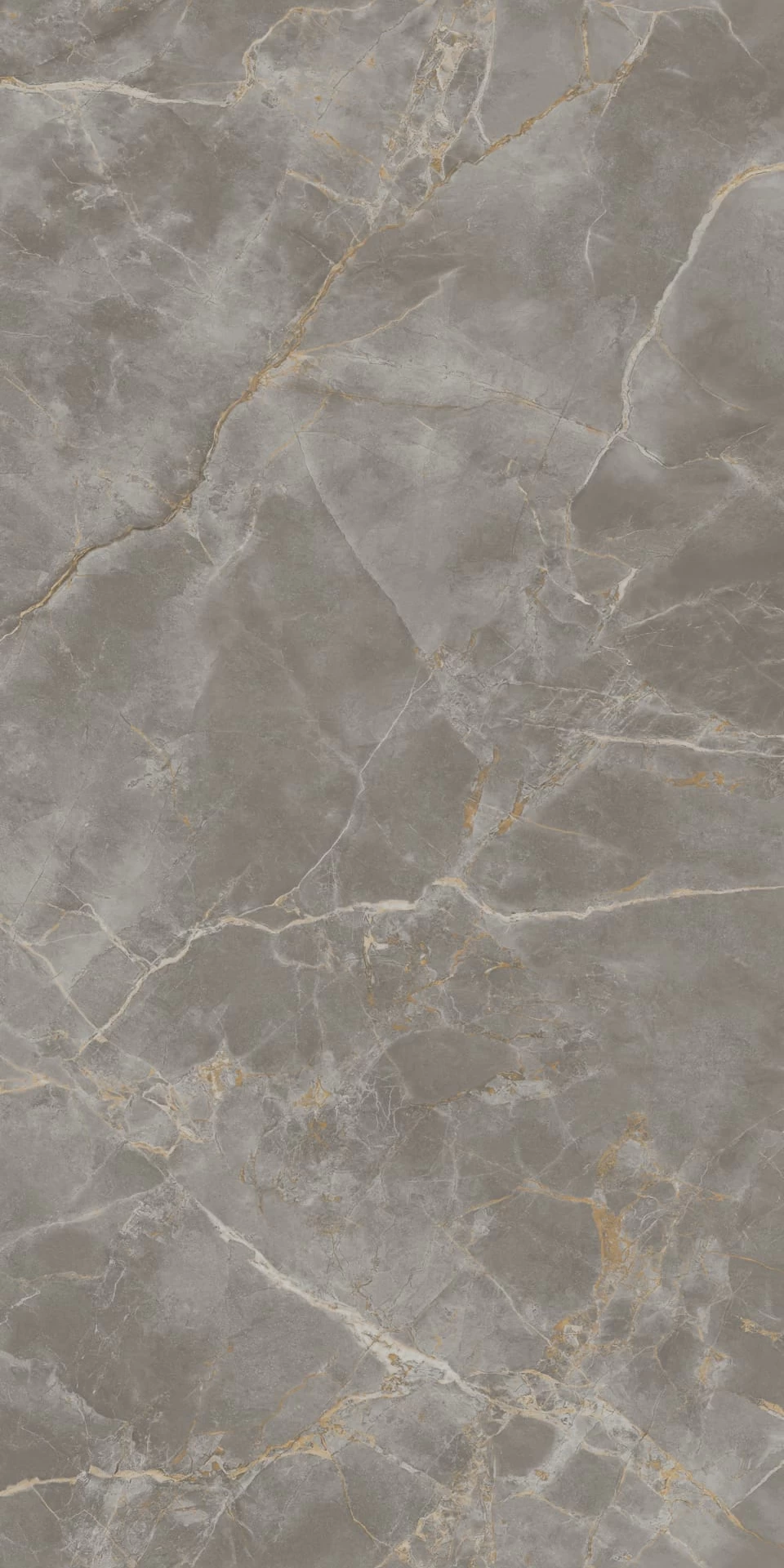 AJRW Fior di Bosco Bookmatch Lappato 160x320 Atlas Concorde