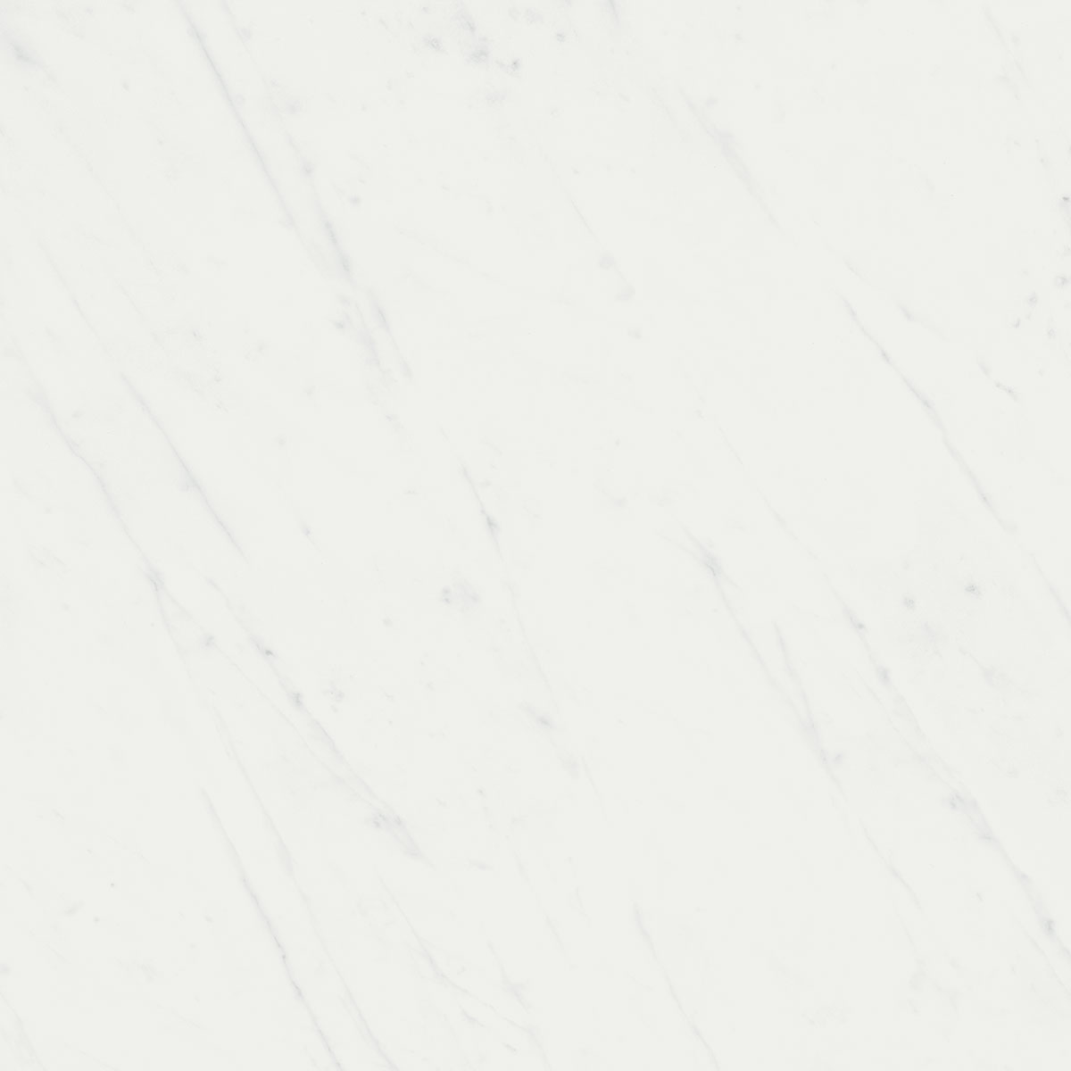 SG453520R Борсари белый обрезной 50,2x50,2x8,5 Kerama Marazzi