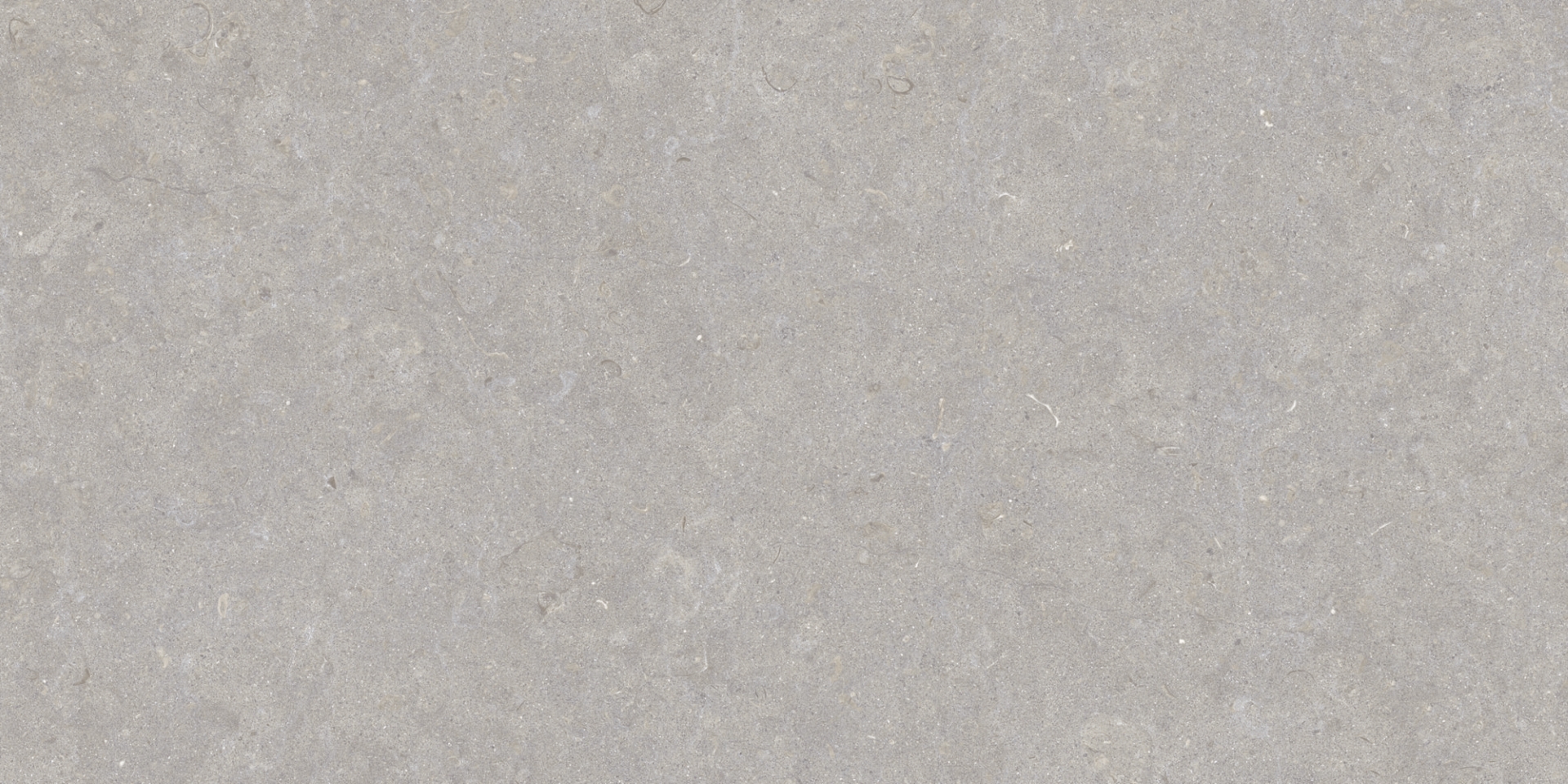 35568 Ghent Grey/50X100X2/A/R 50x100 Peronda фото 9