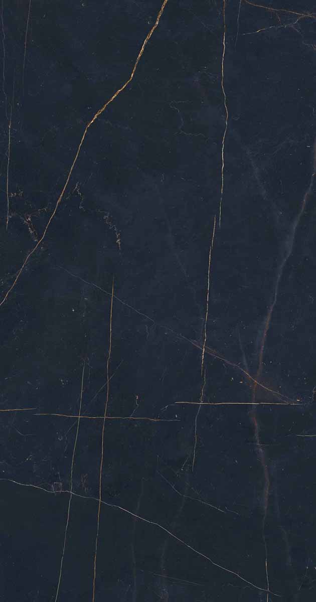 PF60011003 Precious Black Lux Ret 60x120 ABK