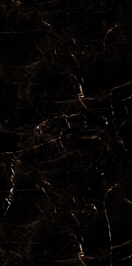 Marble Tropic Black 120x60 Artcer