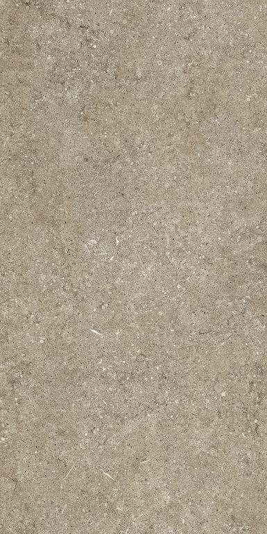 768623 Sensi Taupe Fossil Nat Ret 6mm 60x120 Casa Dolce Casa
