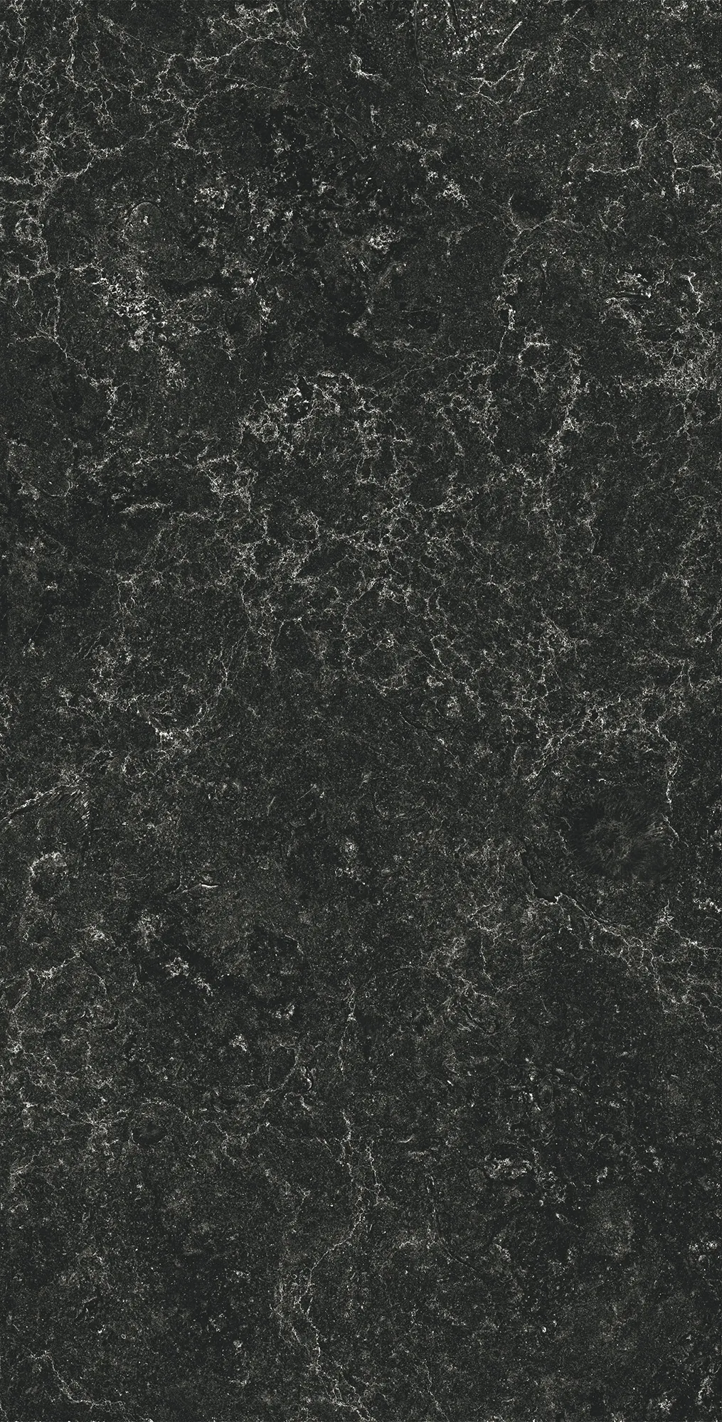GI8014-CB Palatino Nero Glossy Ink 60x120 Creanza фото 3