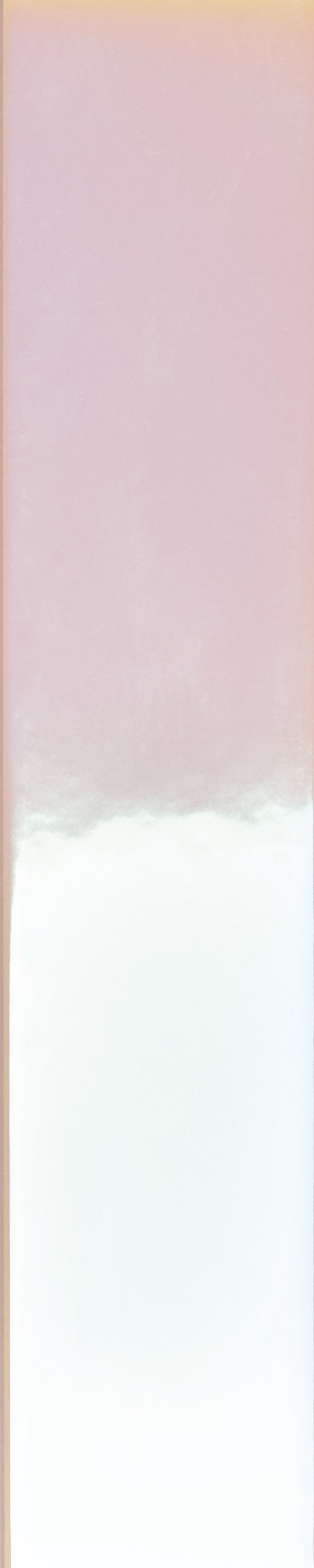 4100730 Rose Hologram Mix 5x25 41ZERO42
