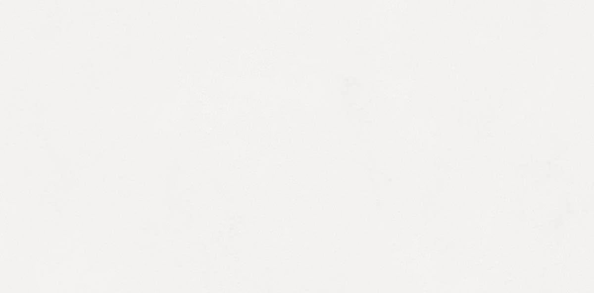 N110011 Aston White Matt 60x120 Neodom фото 2