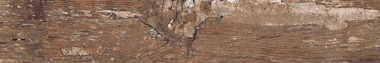 Kiwi Redroot Mat 20x120 Alpas Euro