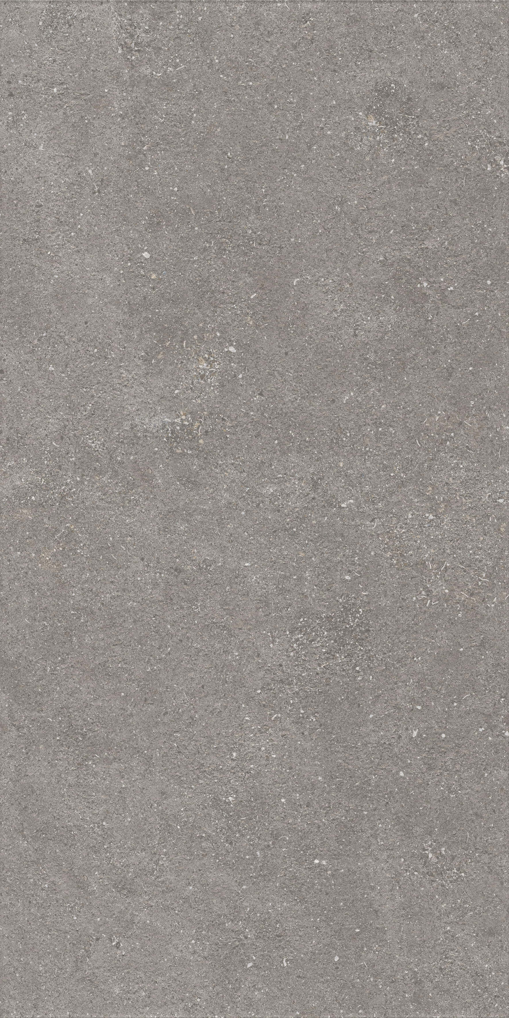 1224 Graniti Grey Matt Ghr 120x60 Artcer фото 4