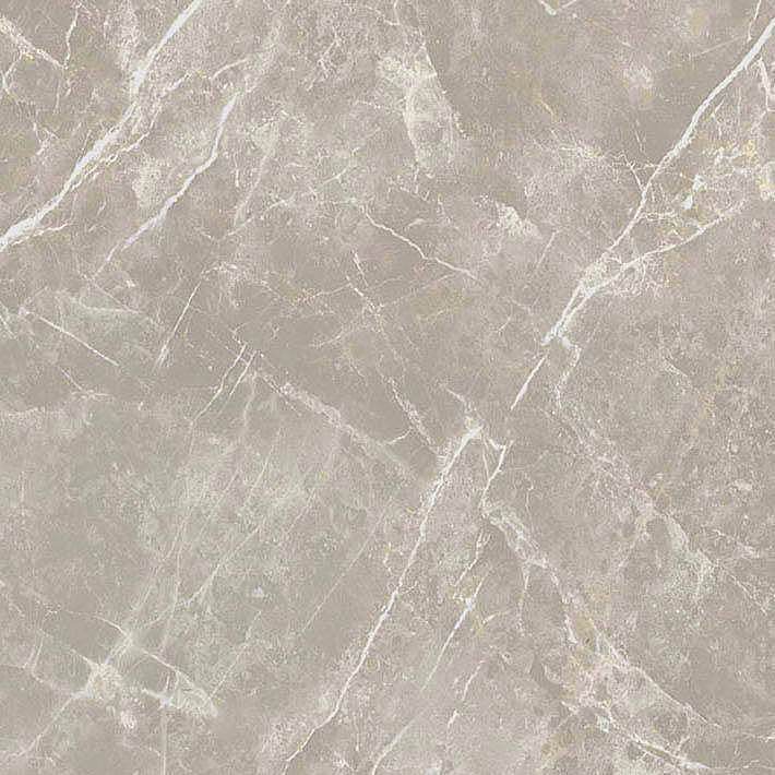 766956 Elemental Grey Dolomia Luc Ret 60x60 Cerim