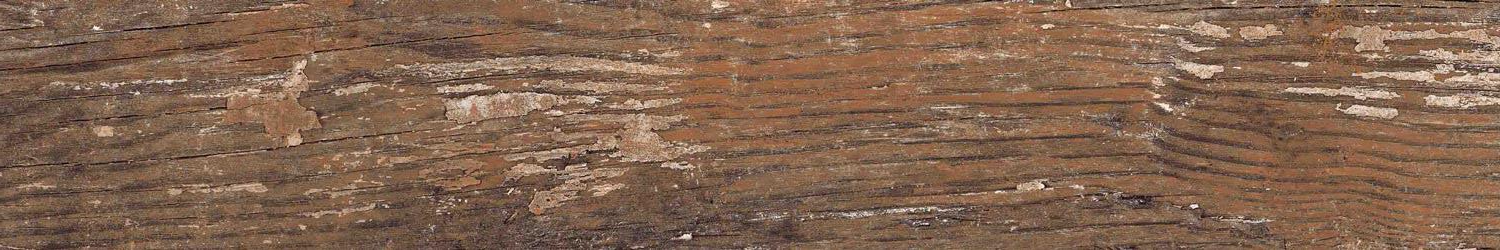 Kiwi Redroot Mat 20x120 Alpas Euro