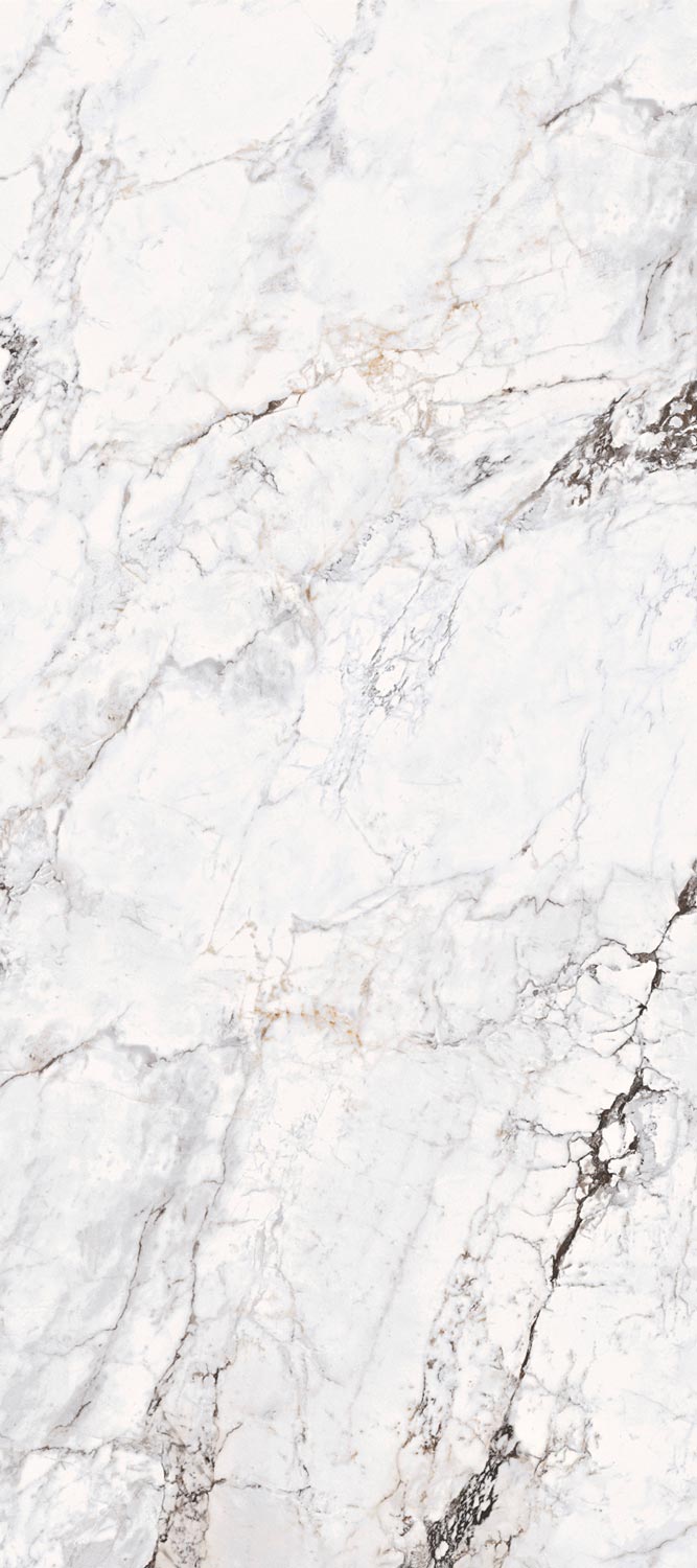 Calacatta Glossy 120x270 FMAX