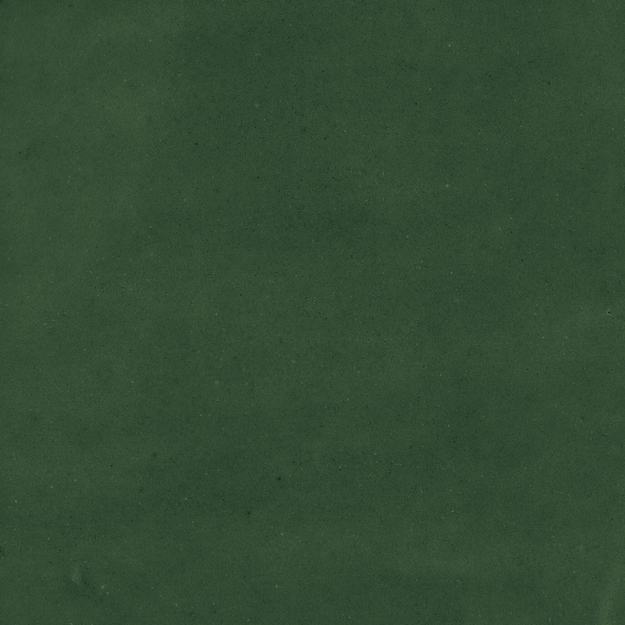 43289 Samira Green 10x10 Harmony фото 35