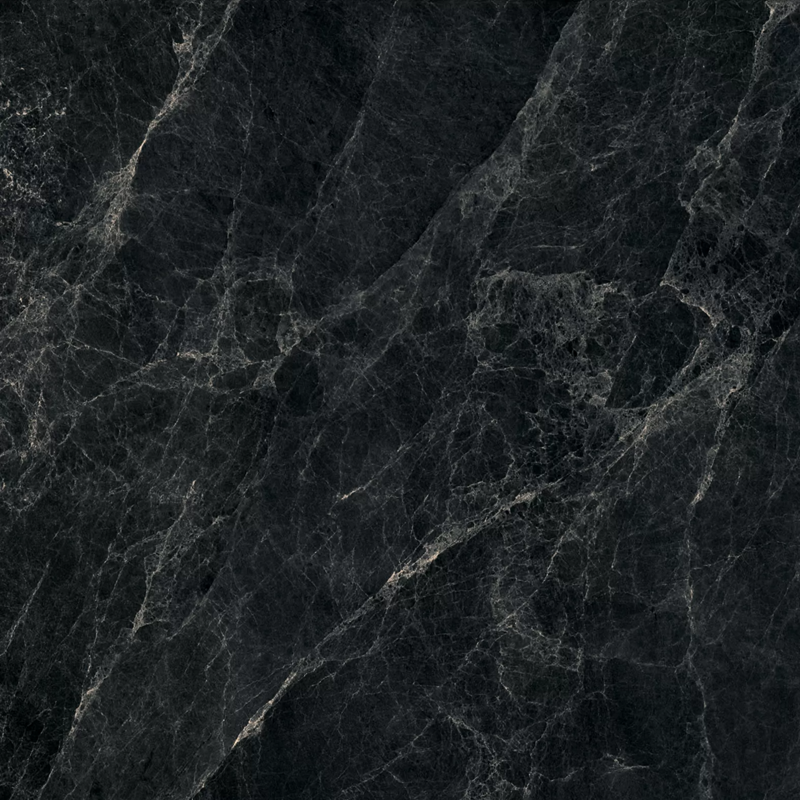 Worner Black sugar lapp. 60x60 Bluezone фото 2