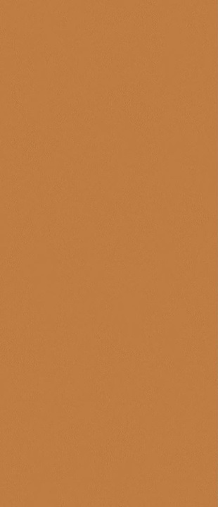 JS6022P Sunchine Orange Matt 120x280 Janye Slab