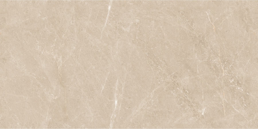 N20437 Firenze Beige Tm 60x120 Neodom