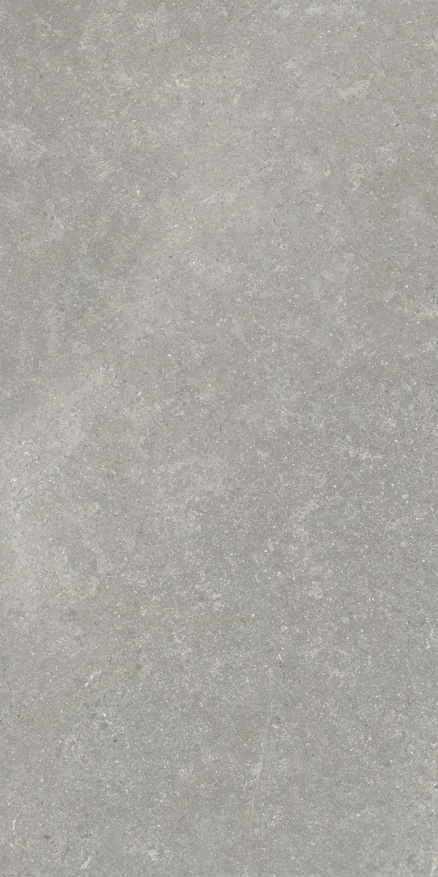 K948634R0001VTER SandStone Серый Матовый R10A Ректификат 60х120 Vitra