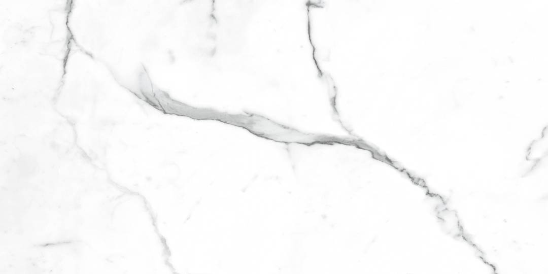 NR235 Dalim White Матовый 60x120 PrimaVera