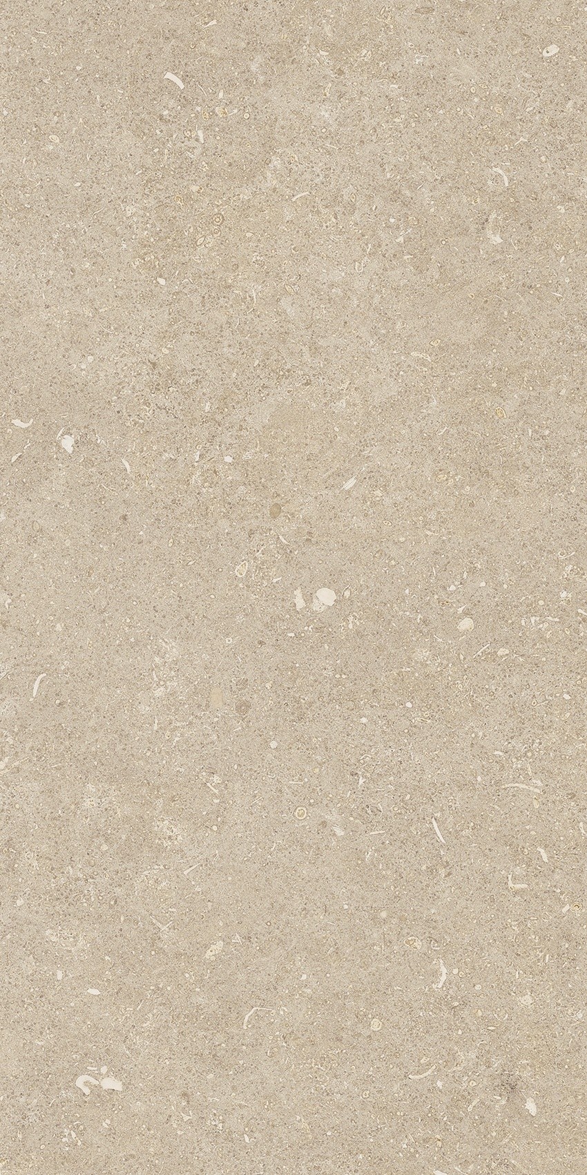 785489 Rinascenza Arena Conchiglia Matte 30x60 Casa Dolce Casa фото 4