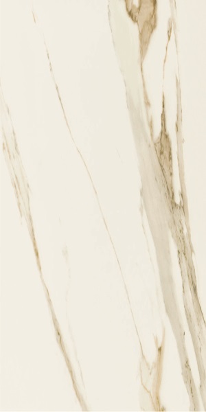 T622545 FORTE MATT RET 270x90 Saime
