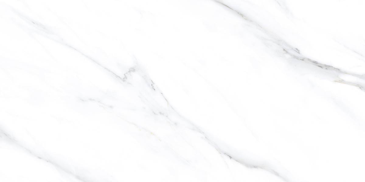 LC201 Palido Grey Lapato Carving 60x120 PrimaVera