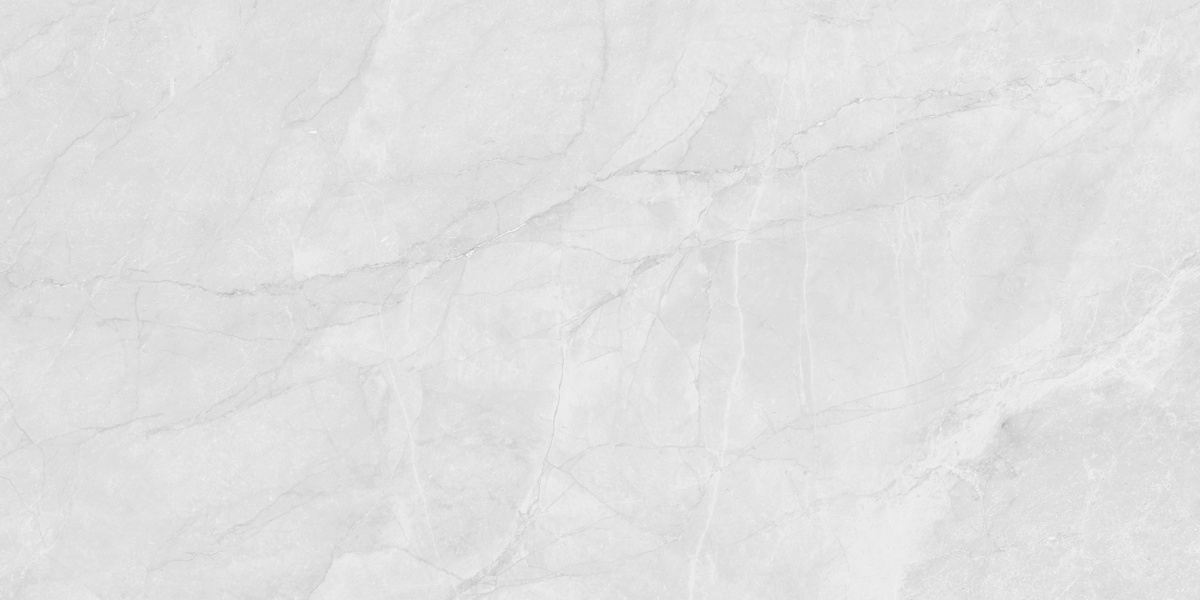 LP6012G0231R Berna Silver светло-серый матовый 59,5х119,1 Laparet